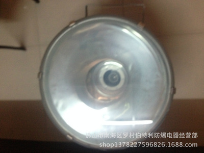 新黎明FTd系列防水防塵防腐投光燈 專業(yè)三防照明解決方案